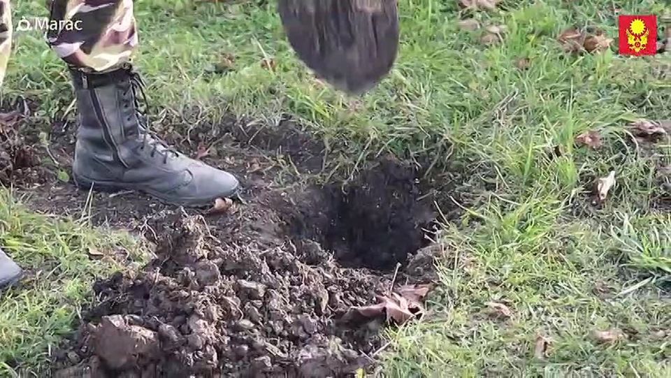 Магас станет городом роз.. Глава города Муса Темурзиев воплощает свою идею сделать ингушскую столицу цветочным оазисом. Первые 300 кустов роз уже украшают территорию Администрации Главы республики, создавая атмосферу...