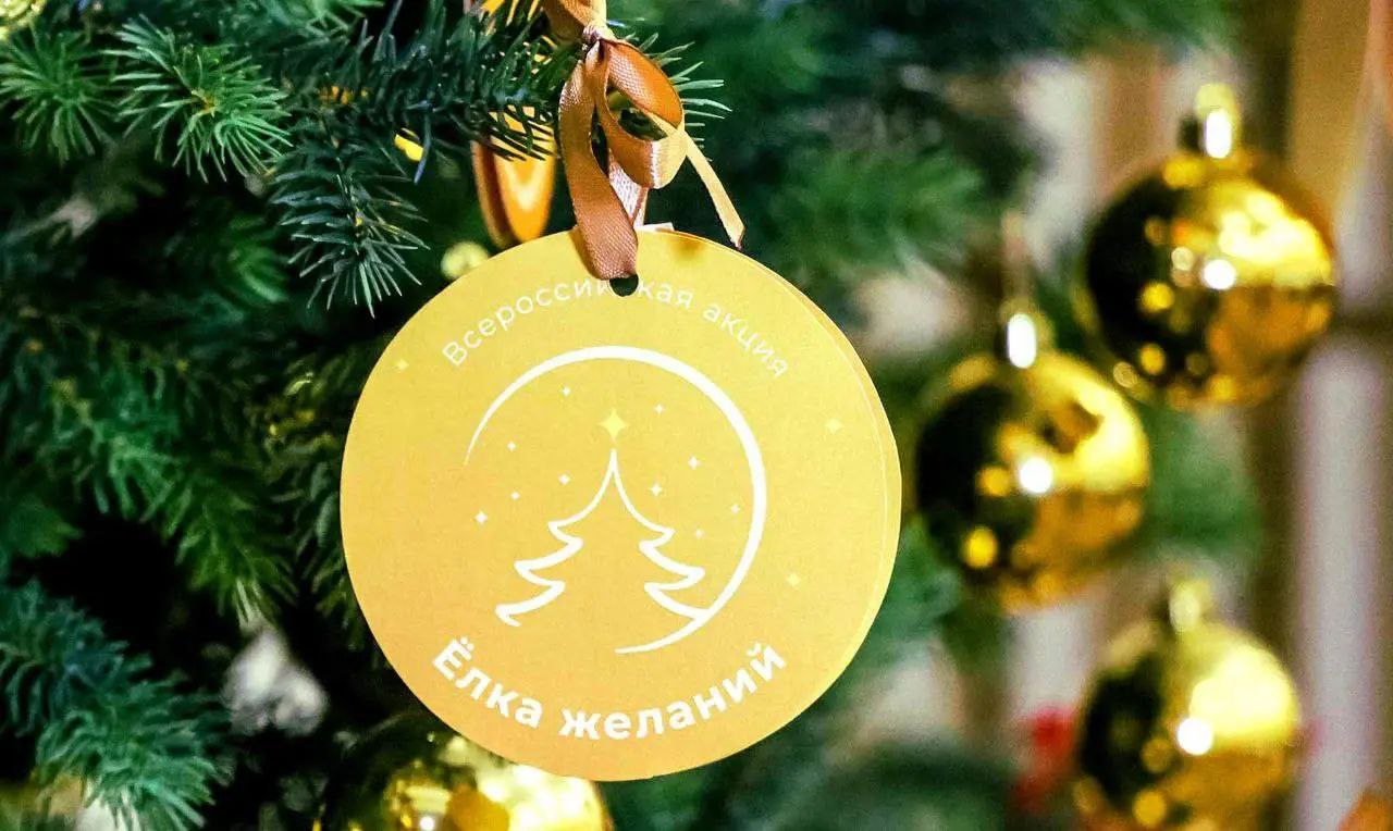 В Ингушетии дан старт новогодней акции «Елка желаний»