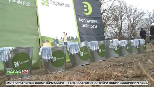В Ингушетии высадят заключительные 2,5 тысячи деревьев вдоль трассы «Горагорск — Сунжа»