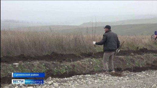 2 500 саженцев ясеня и акации высадили в Ингушетии