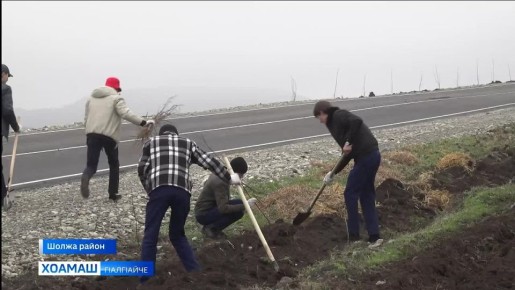 «Лорае хьу» яхача болама т1еххьара гаьнаш д1айог1аш болх д1абихьар Г1алг1айче