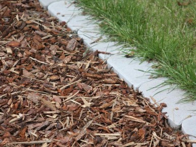Не совершайте ошибку: что нельзя использовать для мульчирования грядок