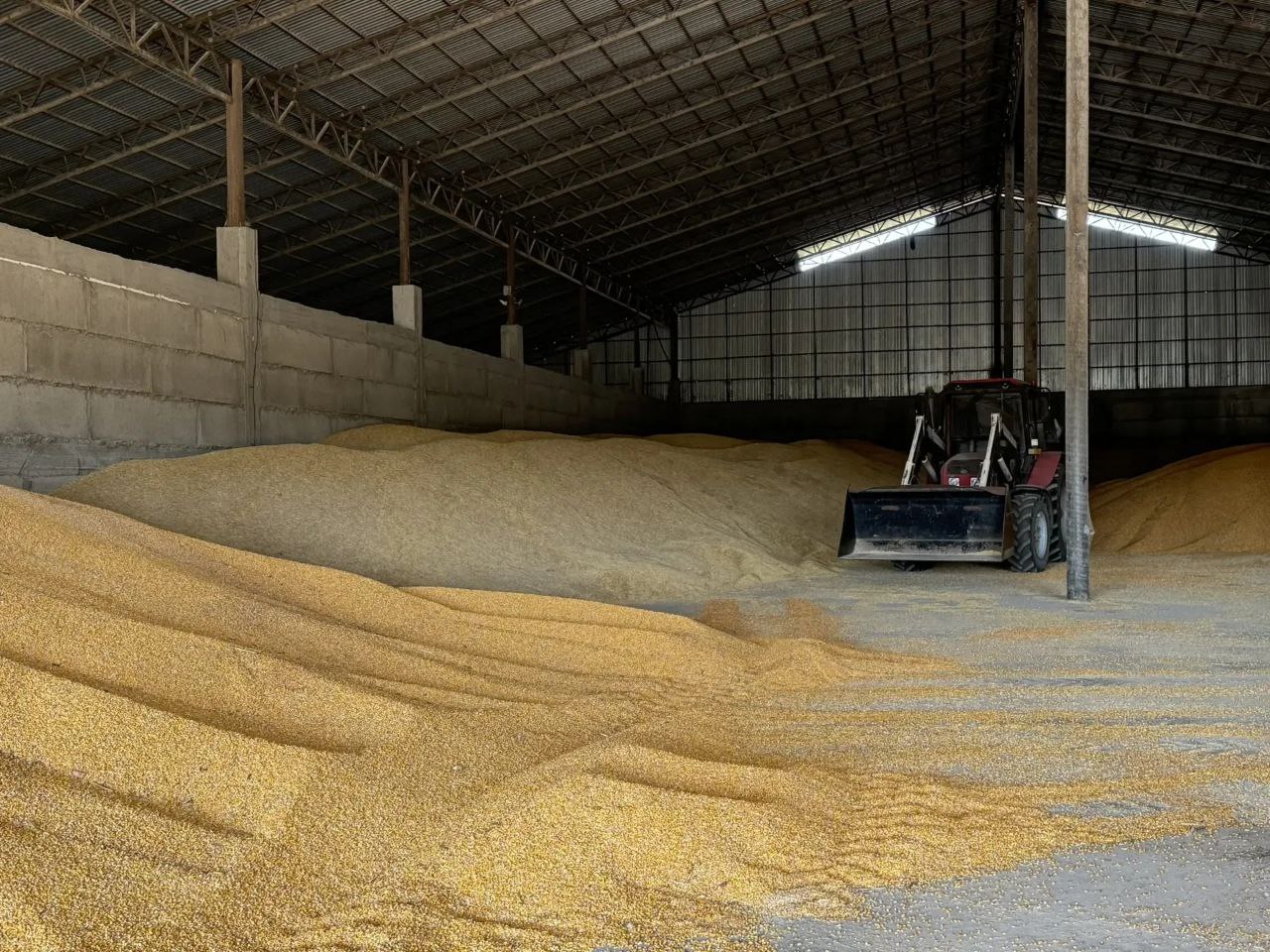 Экспорт агропрома Ингушетии показал устойчивый рост в 2025 г