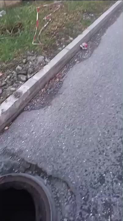 �� ��������� ������ �������� ����������� ���� ���� � ������ ������ ����������� ���������� ���������