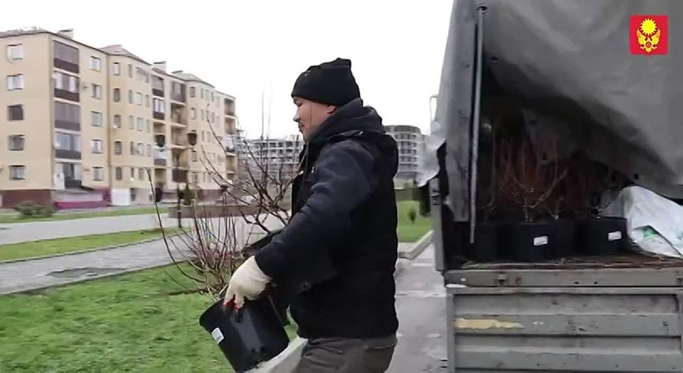 ��� �������� ���������� ���������� ������: ������������ ������� � ����������, ����������������� ����� � ������