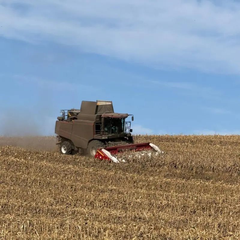  ����������� ��������� ������� ����� ������ ����� ��������