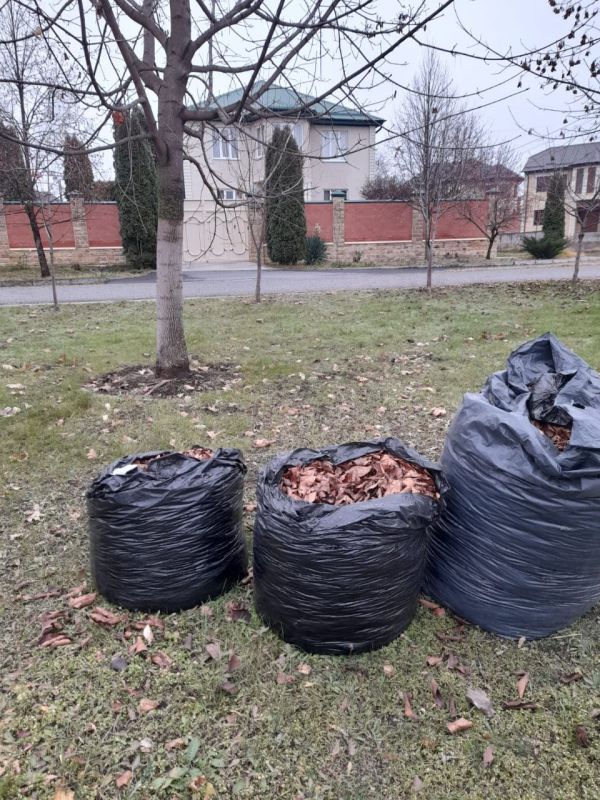 � ������������ � ��������� ���������������, ��������������� �� ������ ����������� ����������, ������� ���� � ��������������� ����� ������������ �������, ����� ������������ ������� �����