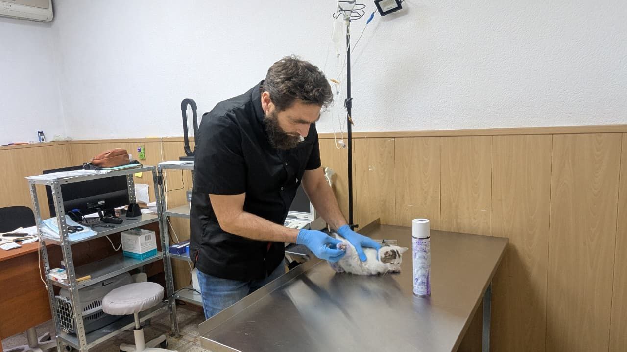 Открыта новая ветеринарная клиника в Назрани Открыта новая ветеринарная клиника в Назрани