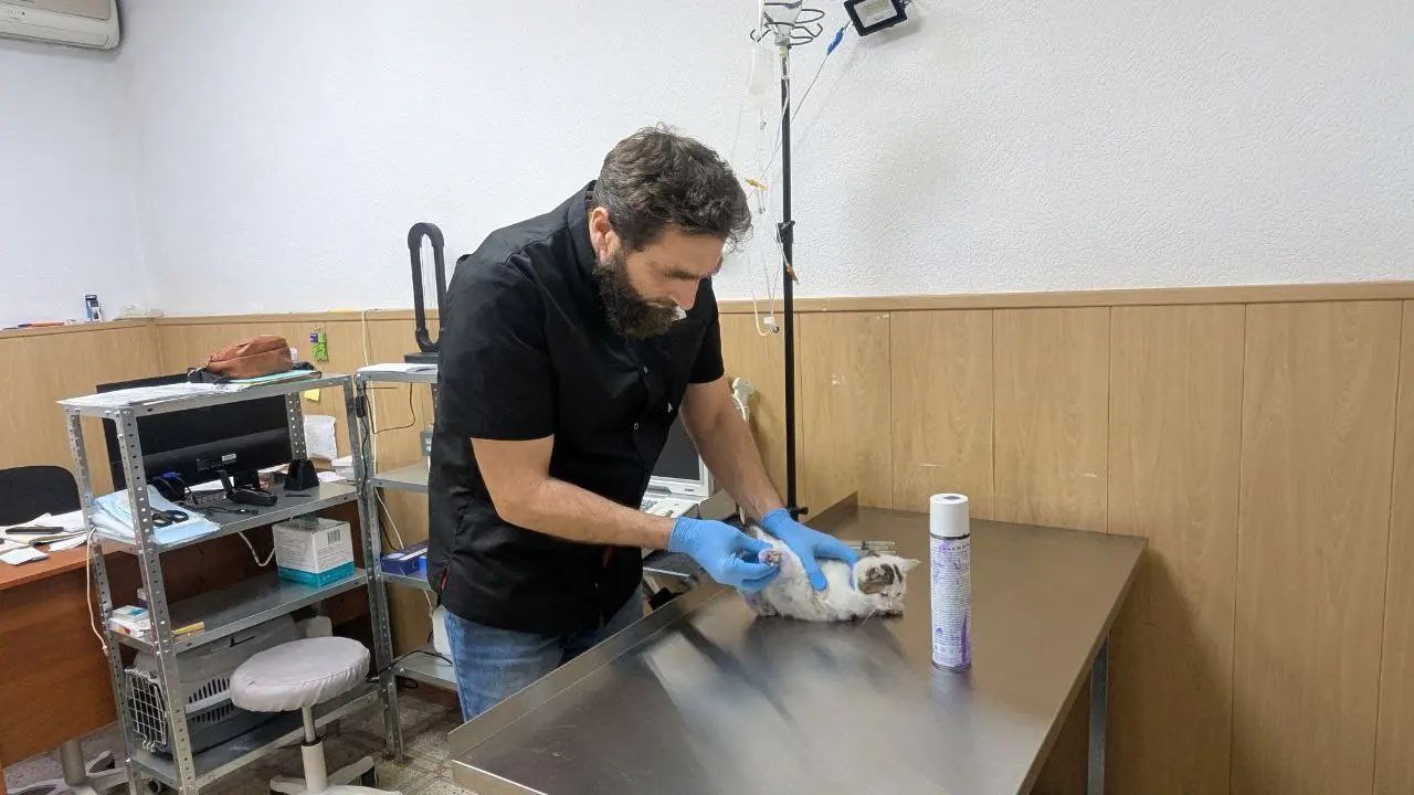 В Назрани открылась современная ветеринарная клиника