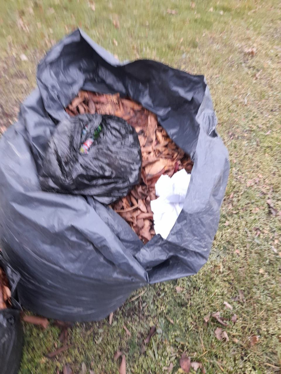 В соответствии с правилами благоустройства, ответственность за уборку прилегающей территории, включая сбор и самостоятельный вывоз растительных отходов, несут собственники частных домов В соответствии с правилами благоустройства, ответственность за уборку прилегающей территории, включая сбор и самостоятельный вывоз растительных отходов, несут собственники частных домов