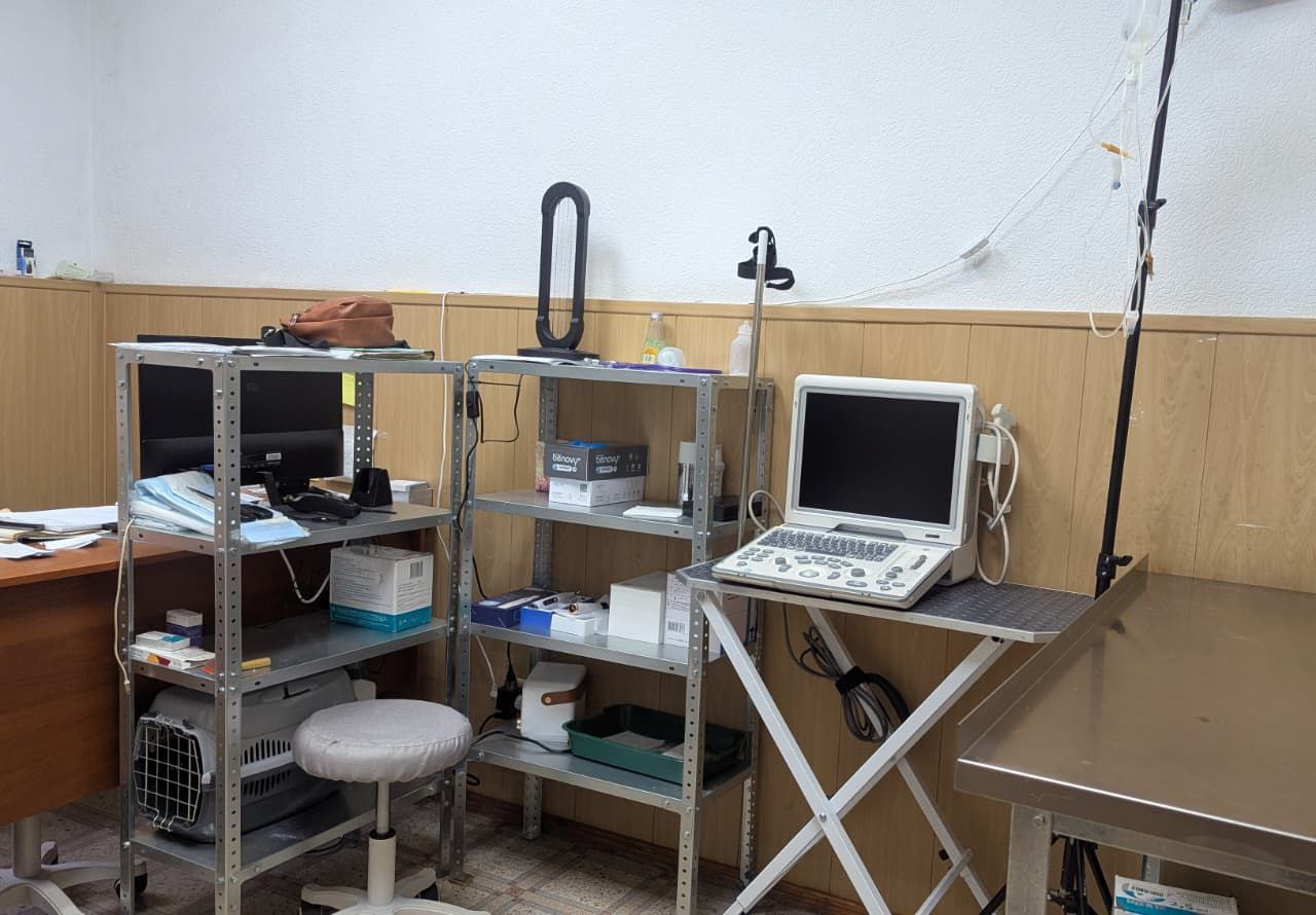 Открыта новая ветеринарная клиника в Назрани