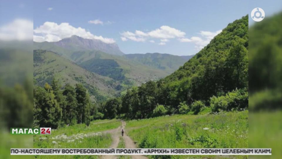 ������ "�����" � ��������� ���� ����������� ���������� ������������ ������������� ������