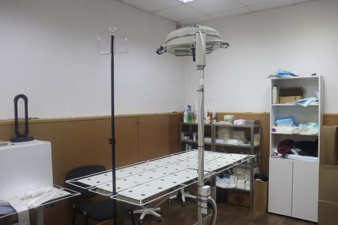 Открыта новая ветеринарная клиника в Назрани Открыта новая ветеринарная клиника в Назрани