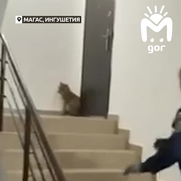 ������� ������ � ������� ���������� � ������