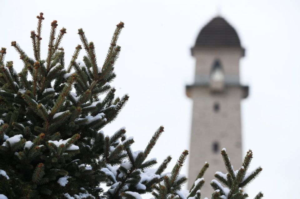 ������ ����, ���������. 1���� ���� ����� ���