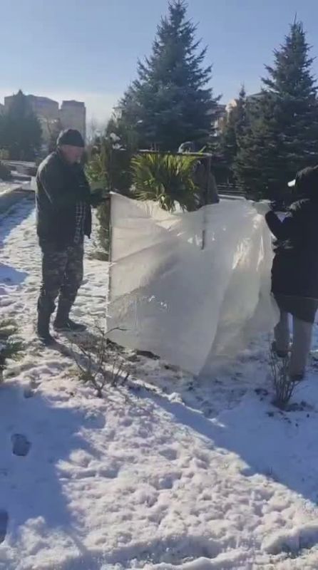 ��� ���������� "���������", ������� ��������� � ���������, ������� - ��������� ������