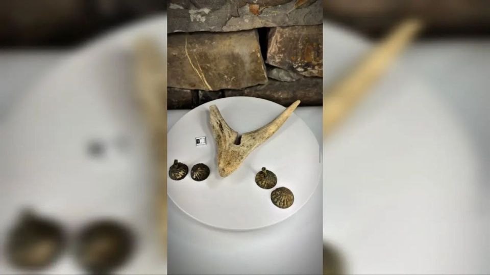 ����� ����� ��������� ������ ��������� ������� ��� ������� ���������