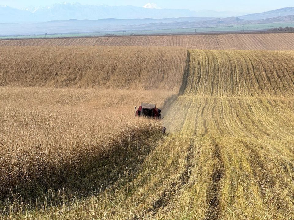 � ��������� ������� ��������� �������� �������� ��� ������ 2026 �