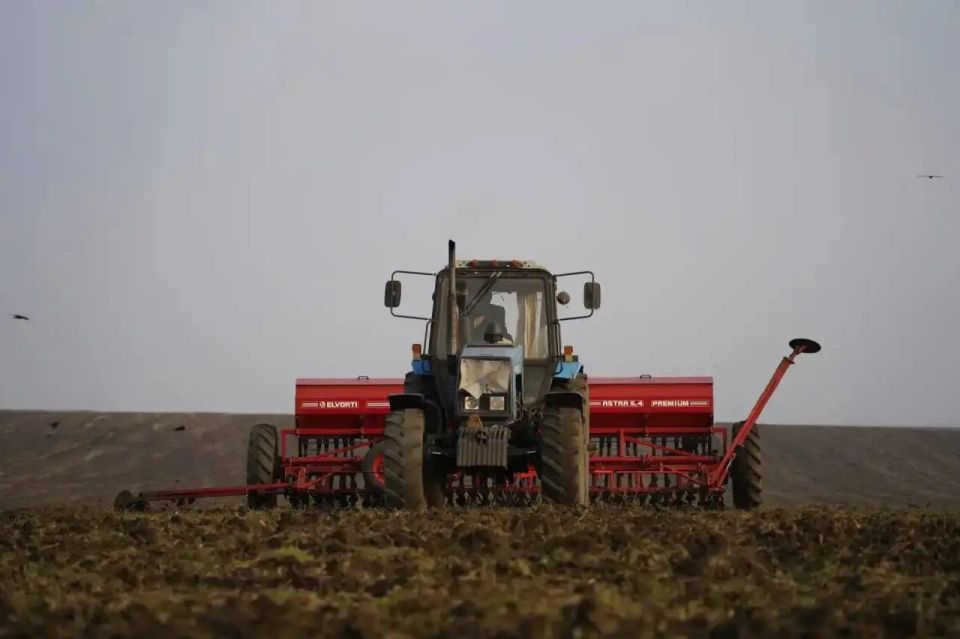 �������� �������� ��� ������ 2026 ���� ��������� ����������