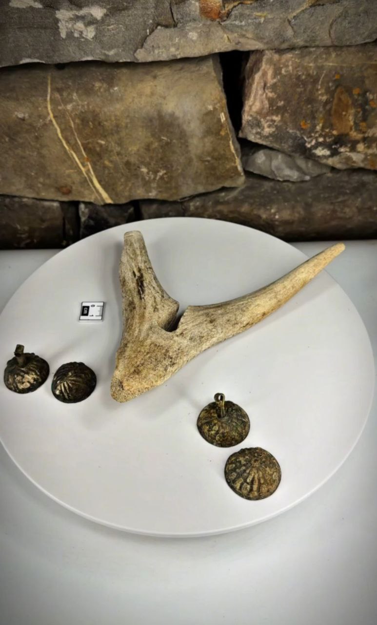 Ритуальный посох жреца: уникальная находка в Нижнем Пуе