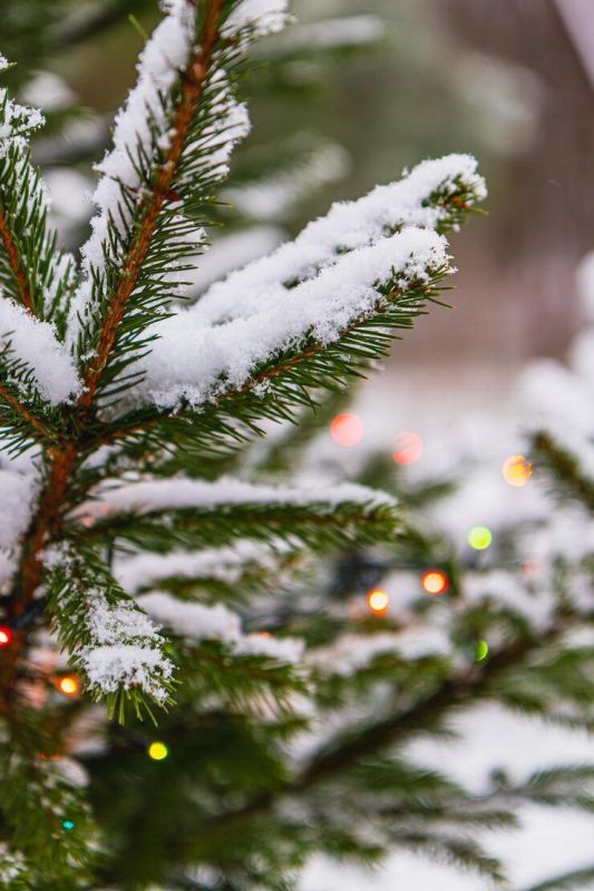 � ��������� ������� ������ ����� ����� ����� �����