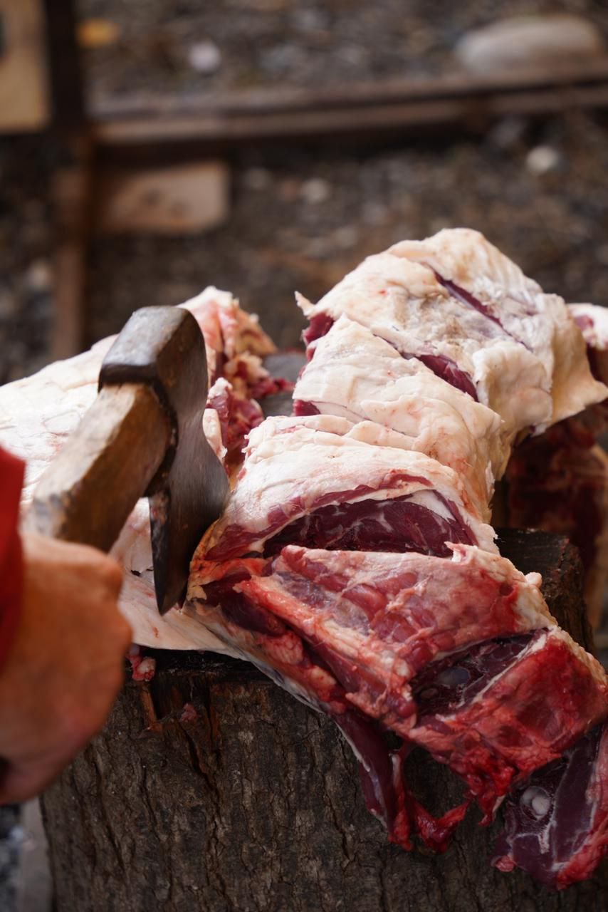 Сельскохозяйственная ярмарка в Ингушетии Сельскохозяйственная ярмарка в Ингушетии