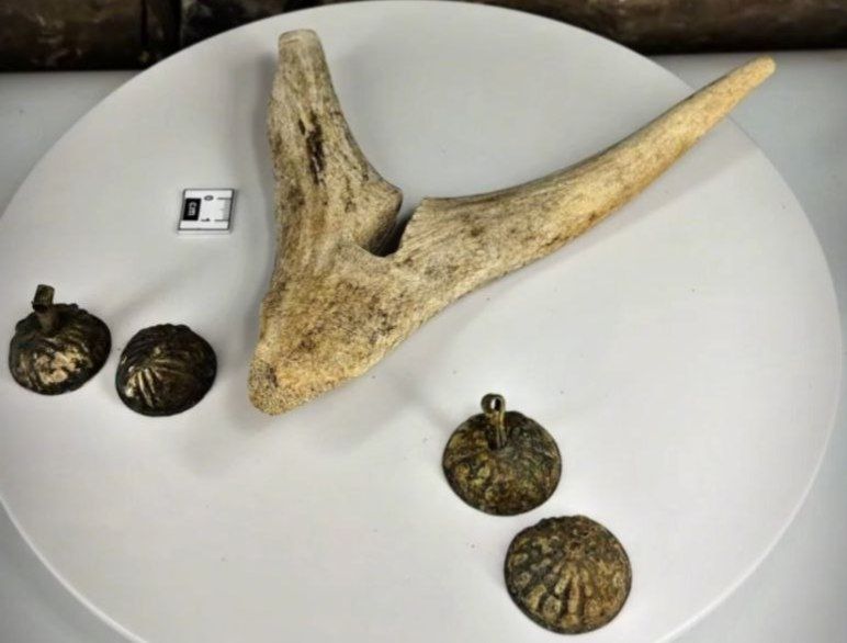 ���������� �������� ��������� � ����� � ���������