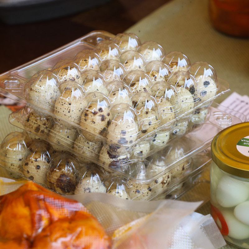 Сельскохозяйственная ярмарка в Ингушетии Сельскохозяйственная ярмарка в Ингушетии