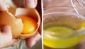 Куриные яйца: незаменимые свойства желтка и белка, о которых стоит знать