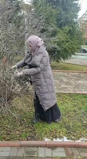 Работники муниципального предприятия «Зеленхоз» проводят комплексную работу по уходу за деревьями, которая включает регулярную обрезку их крон