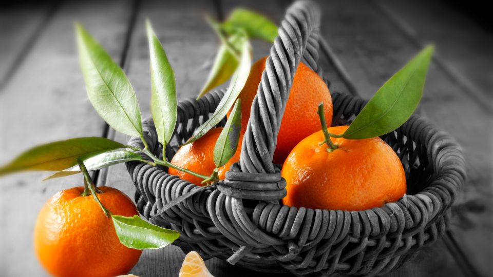 ������ � �����: ����� ��������� �������� ����� ����� � �� ����������