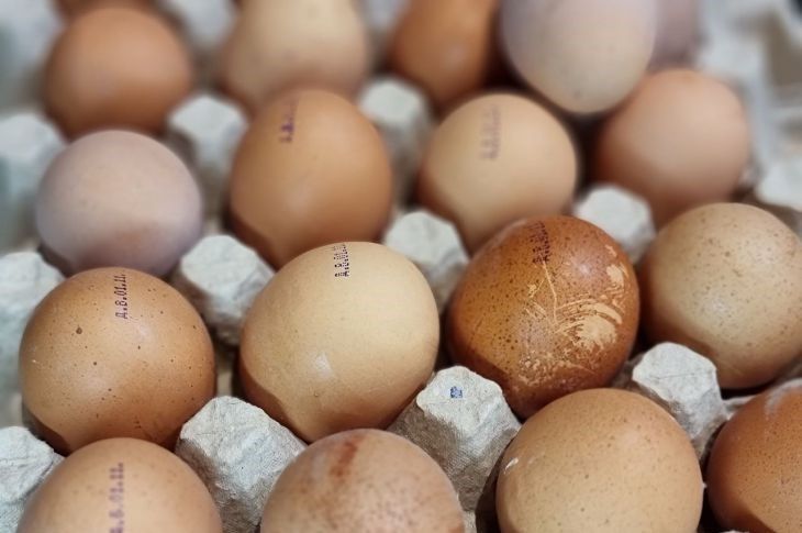 В горячую или холодную: в какую воду лучше класть яйца для варки