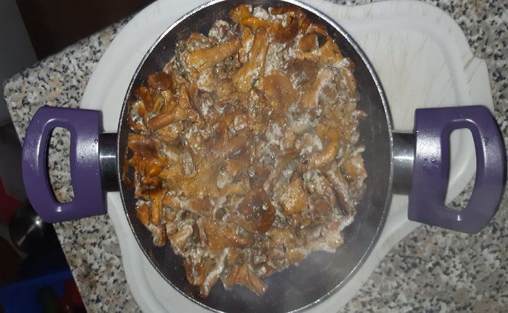 ����� �� ������������ ������� ��� ����