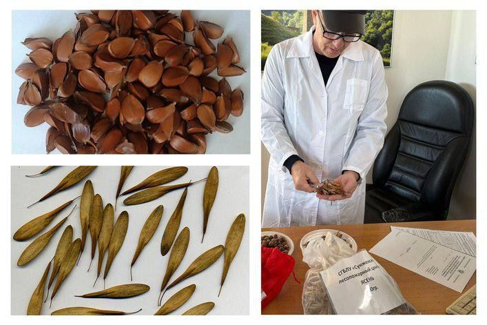 ������ ����� ��� ������������������ � ��������� ���������