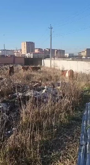 ��������� ��������� �����!