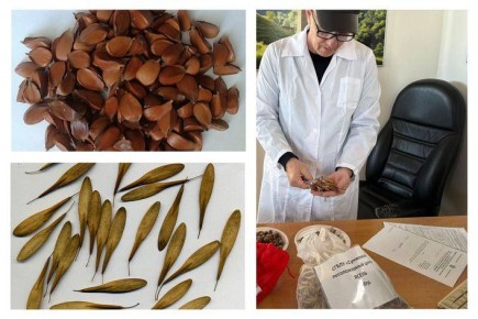 ������ ��� ����� ��������� ������ � ������