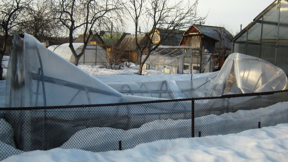 ��� �� 320 ������ ������ ������� �� ������� ��������