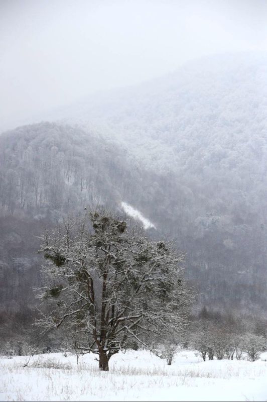 25 ������� � ��������� ����� ���