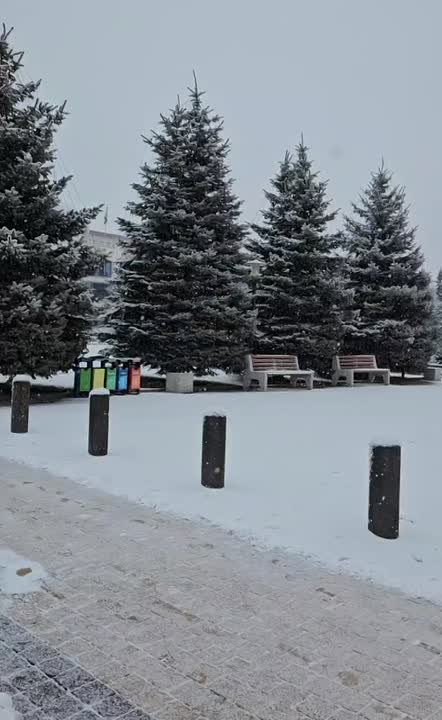 Сегодня прекрасная снежная погода