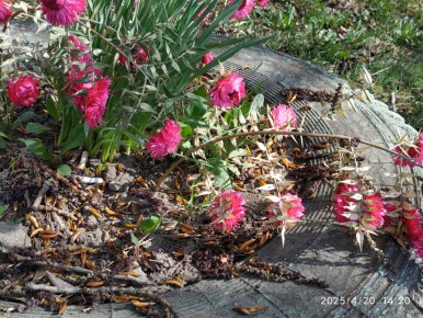 ��� ��������� �������� ���������� ��������� ����������� � ���� ������� �����