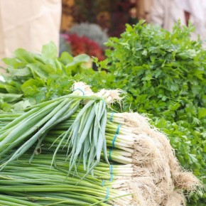 ������ � ��������� ��������� �������������������� �������