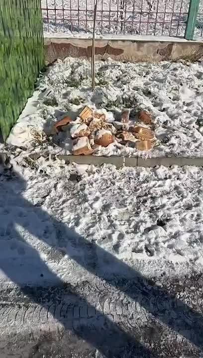 ��������� ���� ���������������� �� ����� �������, ��� �� ����� � �������� ����������� ���������� ����� �����