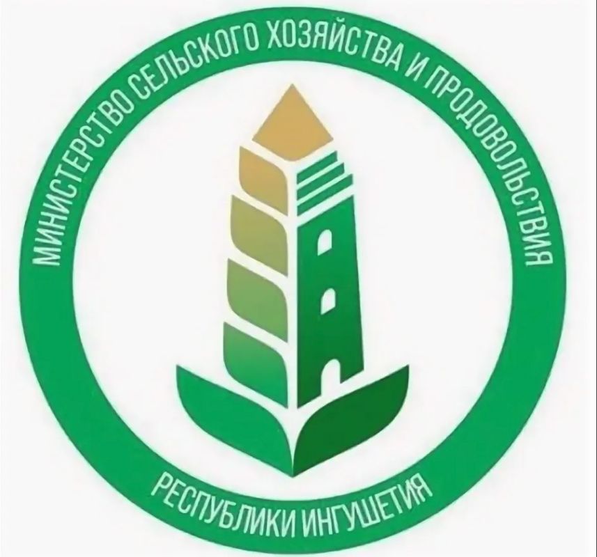 ��������� ���������� ����� ���������� ������ ���: $33,4 ��� � +61% �����