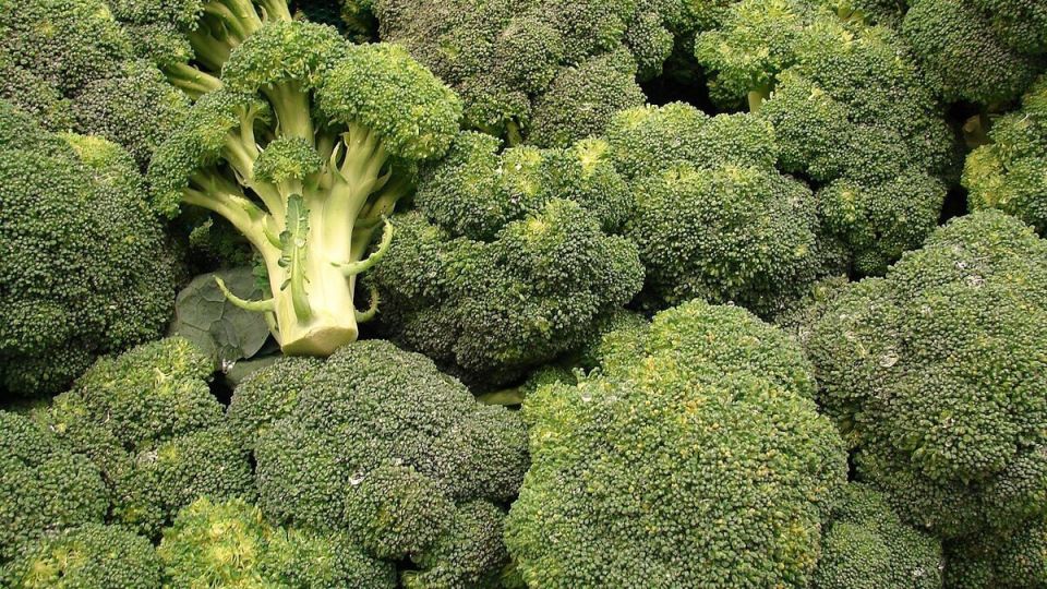 ������� ������� ���������: ��� ��������� ��������� �������� � ����� ����