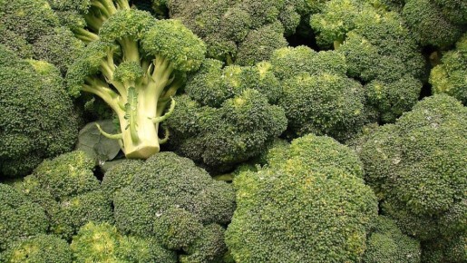 ������� ������� ���������: ��� ��������� ��������� �������� � ����� ����