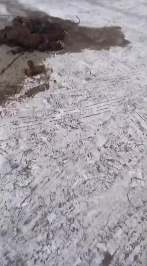 ������������� ������� �� ����� �.��������, 37�, ��� �������� ��������� �������� ��-�� ������ �����������