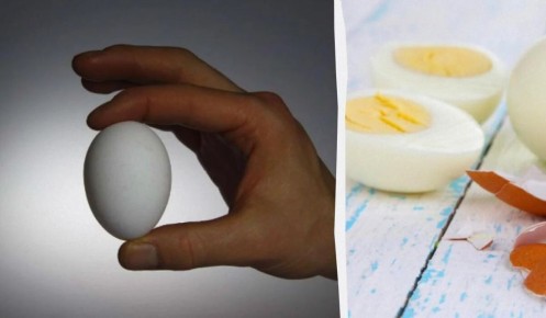 Почему желток может стать зеленым: секреты идеальных яиц вкрутую