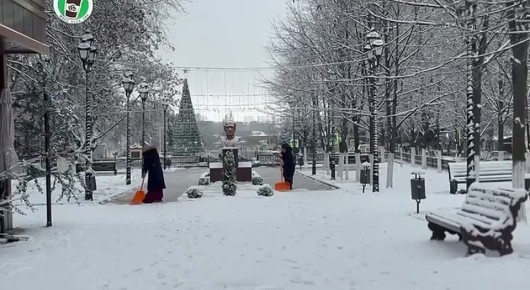 ������ ������: ��� ������������ ��� ������� � ������� ����