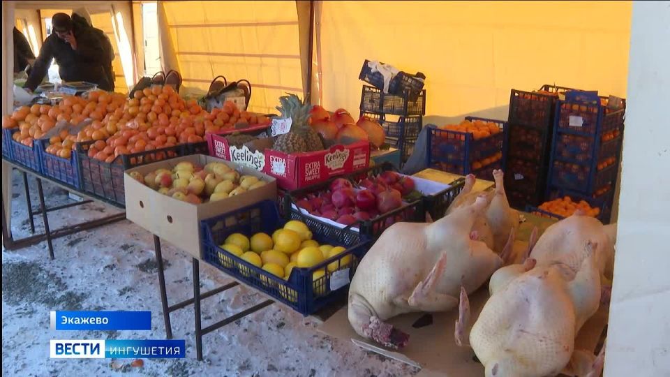 Поддержка местных производителей объединила жителей Ингушетии на ярмарке в Магасе