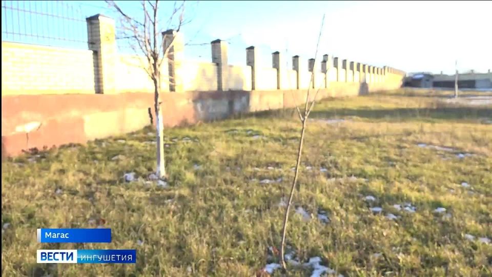 Фонд «Мял» в Ингушетии провел сотни благотворительных акций